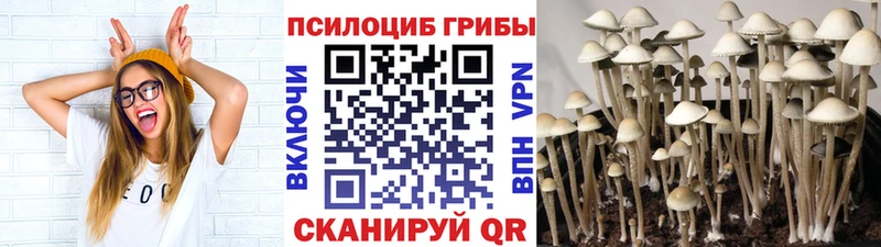 Галлюциногенные грибы ЛСД  Ильский 