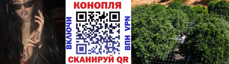 ОМГ ОМГ вход  Ильский  Бошки Шишки план 